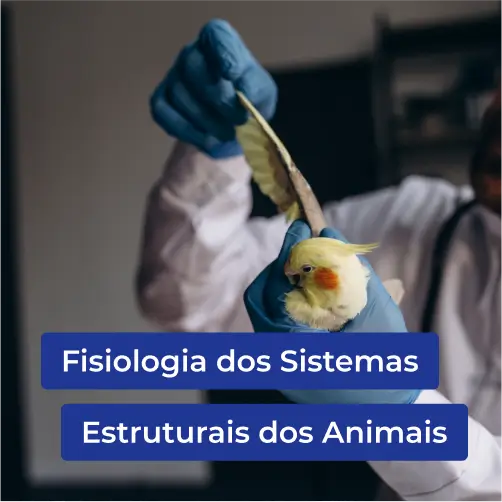 FISIOLOGIA-DOS-SISTEMAS-ESTRUTURAIS-DOS-ANIMAIS-1